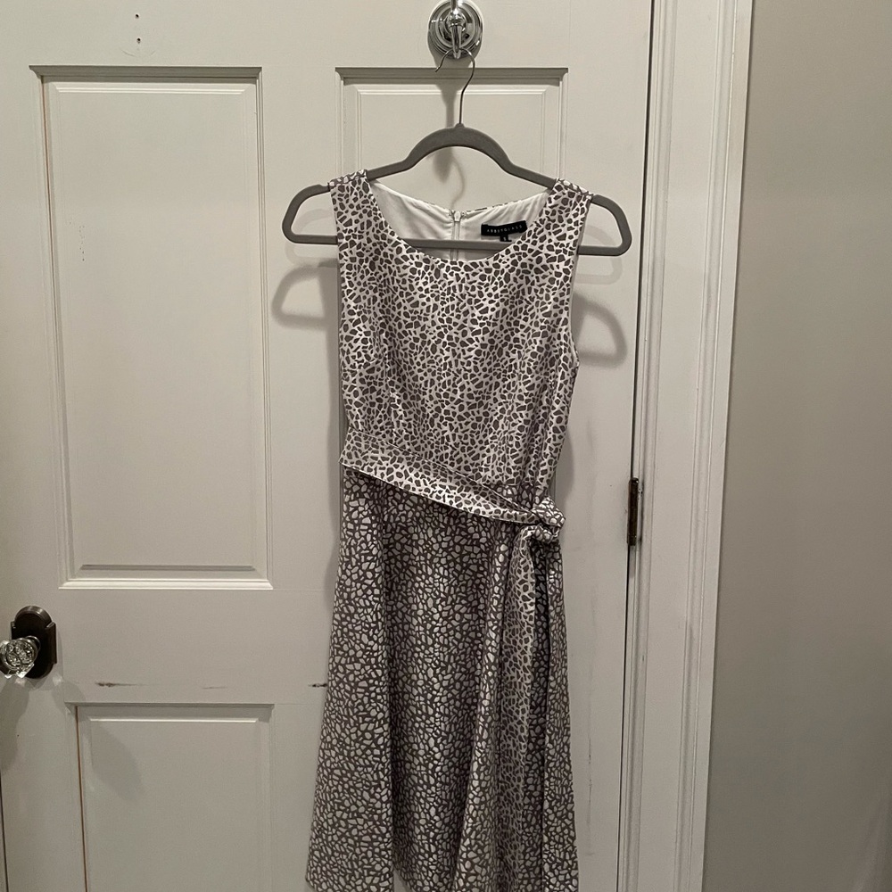 Abbey Glass Fit and Flare Dress NWT